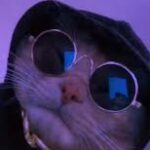 microwavablelunchbox