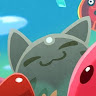 gatito