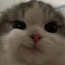 gatinhogamer