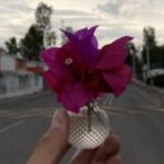 erickrashidmunozmora