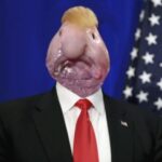 President Blobfish