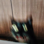 Vivi┌( ಠ_ಠ)┘